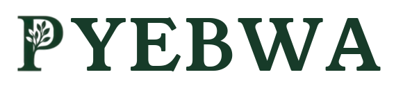 Pyebwa