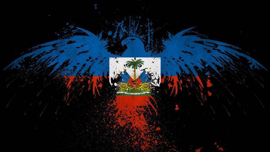 Haiti Flag Art Wbkozdm492J96815
